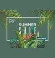summer sale banner palm leaves discount frame vector image vector image