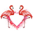 heart made of spray and flamingoes vector image