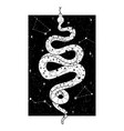 occult trendy hand drawn with snake vector image
