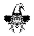 spooky witch head in hat concept vector image