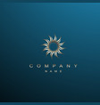 golden sun logo over blue background text writed vector image