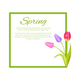 spring poster with text in frame colorful bouquet vector image