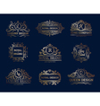 luxury labels design set vector image