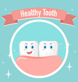 dental healthy a big teeth poster vector image