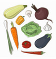 mixed vegetable - isolated set vector image vector image