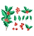 christmas holly berry set vector image