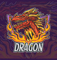 dragon logo for team gamers and sports vector image
