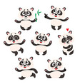 set of cute smiling baby panda characters vector image