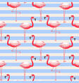 flamingo exotic bird striped seamless pattern vector image