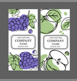 grape apple labels design sketch set vector image vector image