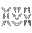 set of angel wings in vintage style template vector image