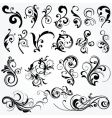 floral graphic design elements vector image