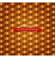 texture wicker basket vector image
