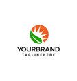 leaf and sun logo design concept template vector image vector image