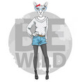 retro hipster fashion animal sphynx cat vector image