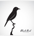 black bird on white background animal easy vector image vector image