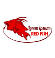red fish logo cartoon vector image