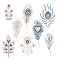 peacock feathers clipart vector image