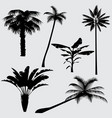 tropical palm tree silhouettes isolated vector image