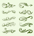 green swash ornamental with leaf vector image vector image