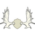 large wild elk antlers hunting trophy wall vector image vector image