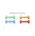set of 3d realistic colour dumbbells with shadow vector image