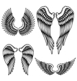 set of wings vector image