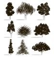 trees sketch set vector image