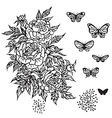 contour flower vector image