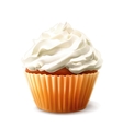 cupcake vector image vector image