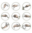 hands held in a circle cup coffee vector image