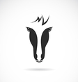 image of an horse face vector image
