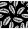 palm leaf seamless pattern background vector image