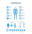 water balance set with body and organs icons vector image