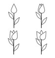 image simple blossoming flower bud with stem vector image vector image