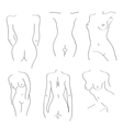 silhouettes of naked girls on a white background vector image