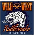 wild west and rattlesnake - vintage artwork vector image