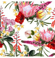 many kinds exotic tropical flowers vector image