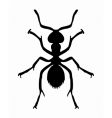 ant vector image