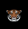 tiger isolated on black background vector image vector image