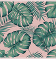 seamless tropical pattern with leaves monstera vector image