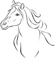 horse head black sketch vector image