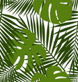 palm leaf and monstera silhouettes seamless vector image