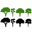 set of different tree vector image vector image