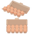 isolated egg in carton vector image