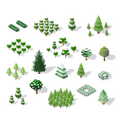 set christmass winter vector image
