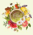 vintage herbal banner vector image vector image