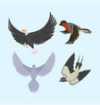 set of different flying birds vector image vector image