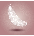 template with feather in ornate background vector image