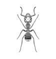 entangle stylized black ant hand drawn termite vector image